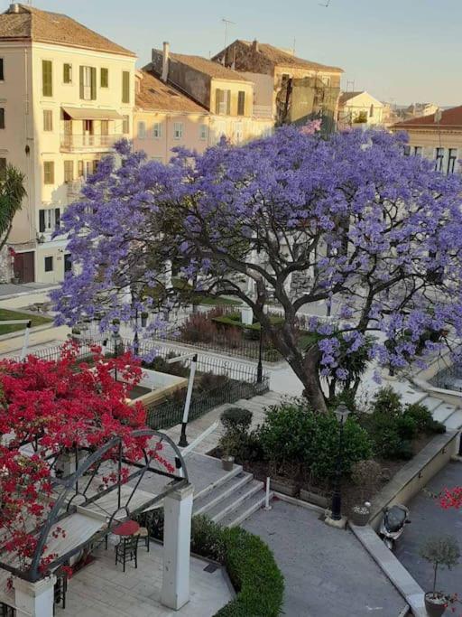 Old Town Corfu Romantic Studio Manto Nymfes Apartment ภายนอก รูปภาพ