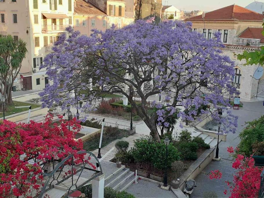 Old Town Corfu Romantic Studio Manto Nymfes Apartment ภายนอก รูปภาพ