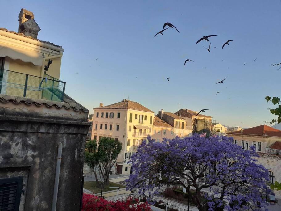 Old Town Corfu Romantic Studio Manto Nymfes Apartment ภายนอก รูปภาพ